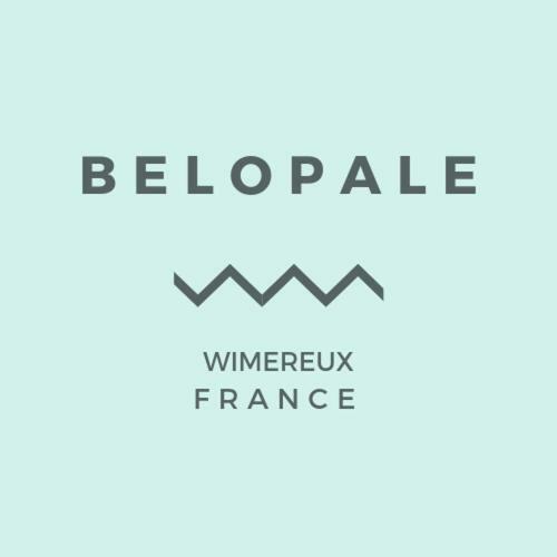 Belopale @ Résidence La Belle Epoque Wimereux Extérieur photo